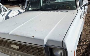 Chevy-c10-truck-1974-7