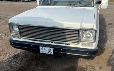 Chevy c10 truck 1975
