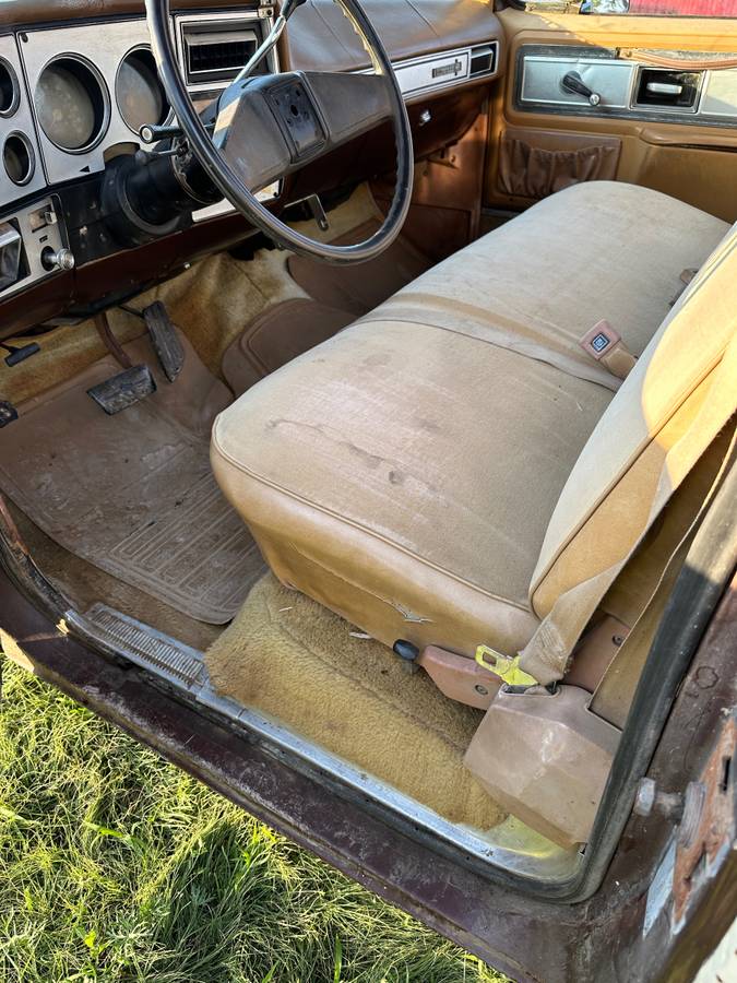 Chevy-c10-truck-1978-brown-11