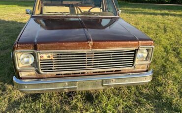 Chevy-c10-truck-1978-brown-2