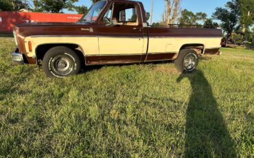 Chevy-c10-truck-1978-brown-4