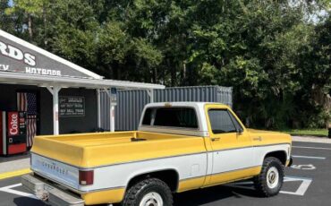 Chevy-c10-truck-1979-1