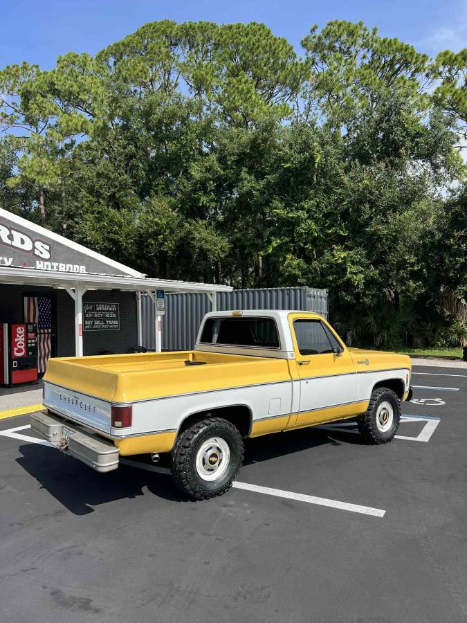 Chevy-c10-truck-1979-1