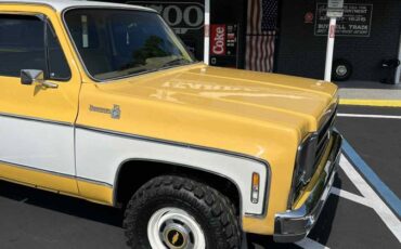 Chevy-c10-truck-1979-11