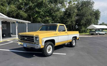 Chevy-c10-truck-1979-13