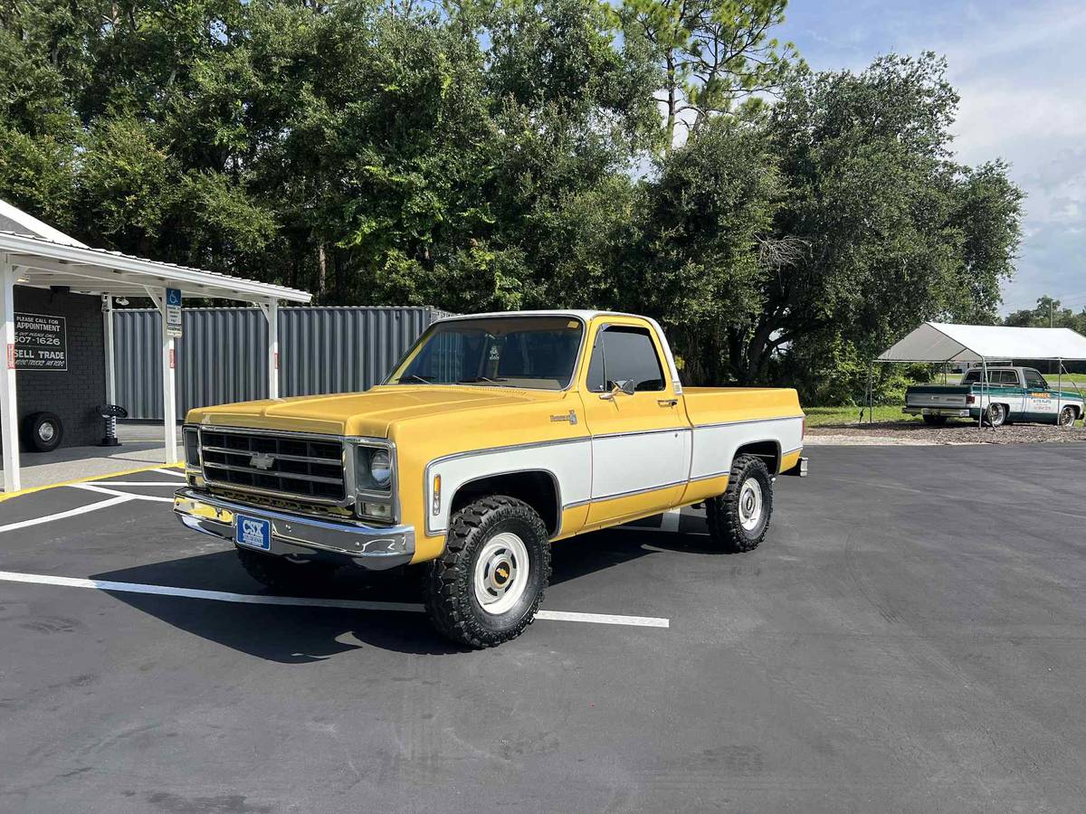 Chevy-c10-truck-1979-13