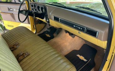 Chevy-c10-truck-1979-15