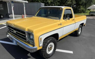 Chevy-c10-truck-1979-17