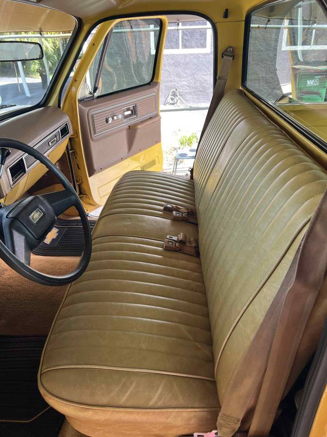 Chevy-c10-truck-1979-18