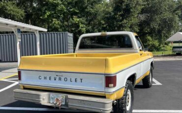 Chevy-c10-truck-1979-4