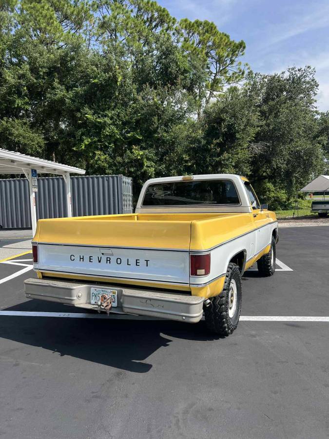 Chevy-c10-truck-1979-4