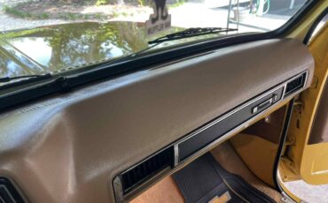 Chevy-c10-truck-1979-8