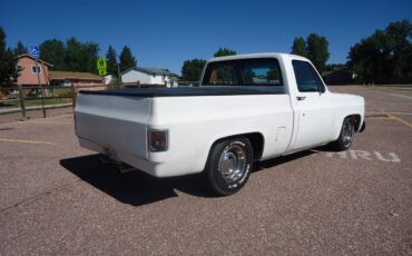 Chevy-c10-truck-1979-white-6