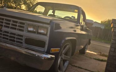 Chevy-c10-truck-1980-blue-1