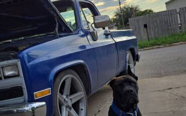 Chevy-c10-truck-1980-blue-3