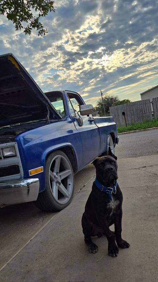 Chevy-c10-truck-1980-blue-3
