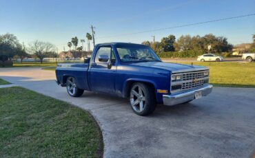 Chevy-c10-truck-1980-blue-5