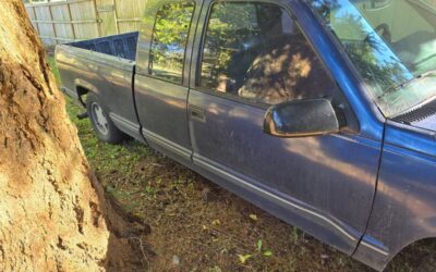 Chevy c1500 1995