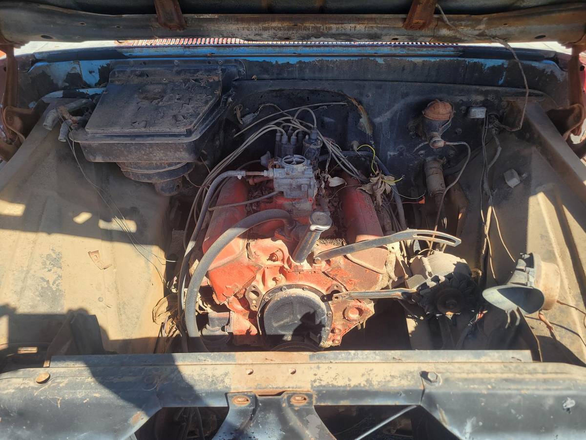 Chevy-c20-1965-brown-7