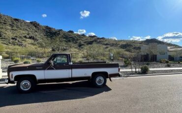 Chevy-c20-1974-6