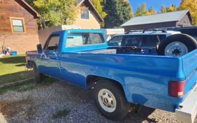 Chevy c20 1974