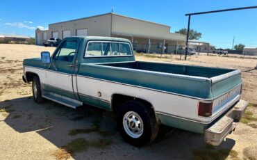 Chevy-c20-1978-1