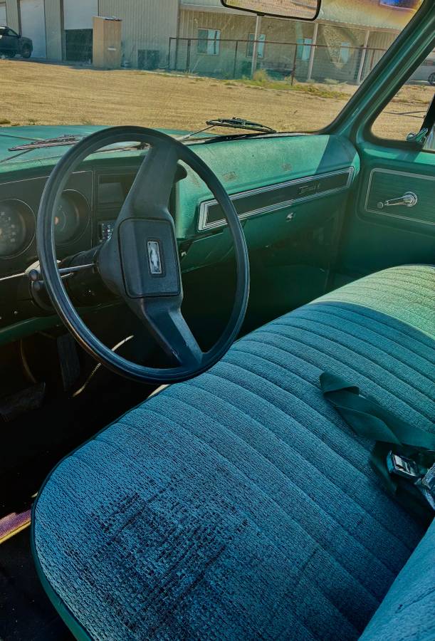 Chevy-c20-1978-3