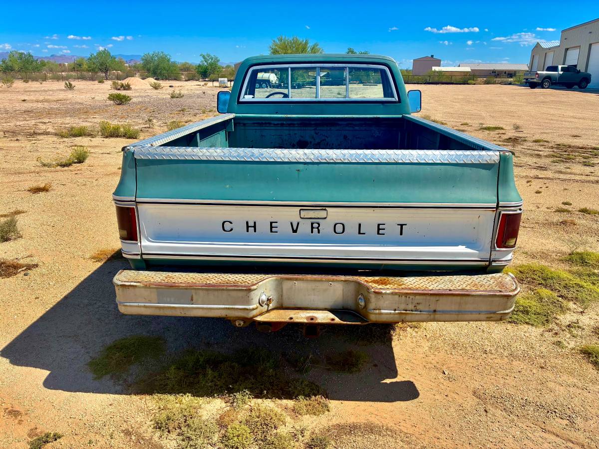Chevy-c20-1978-4