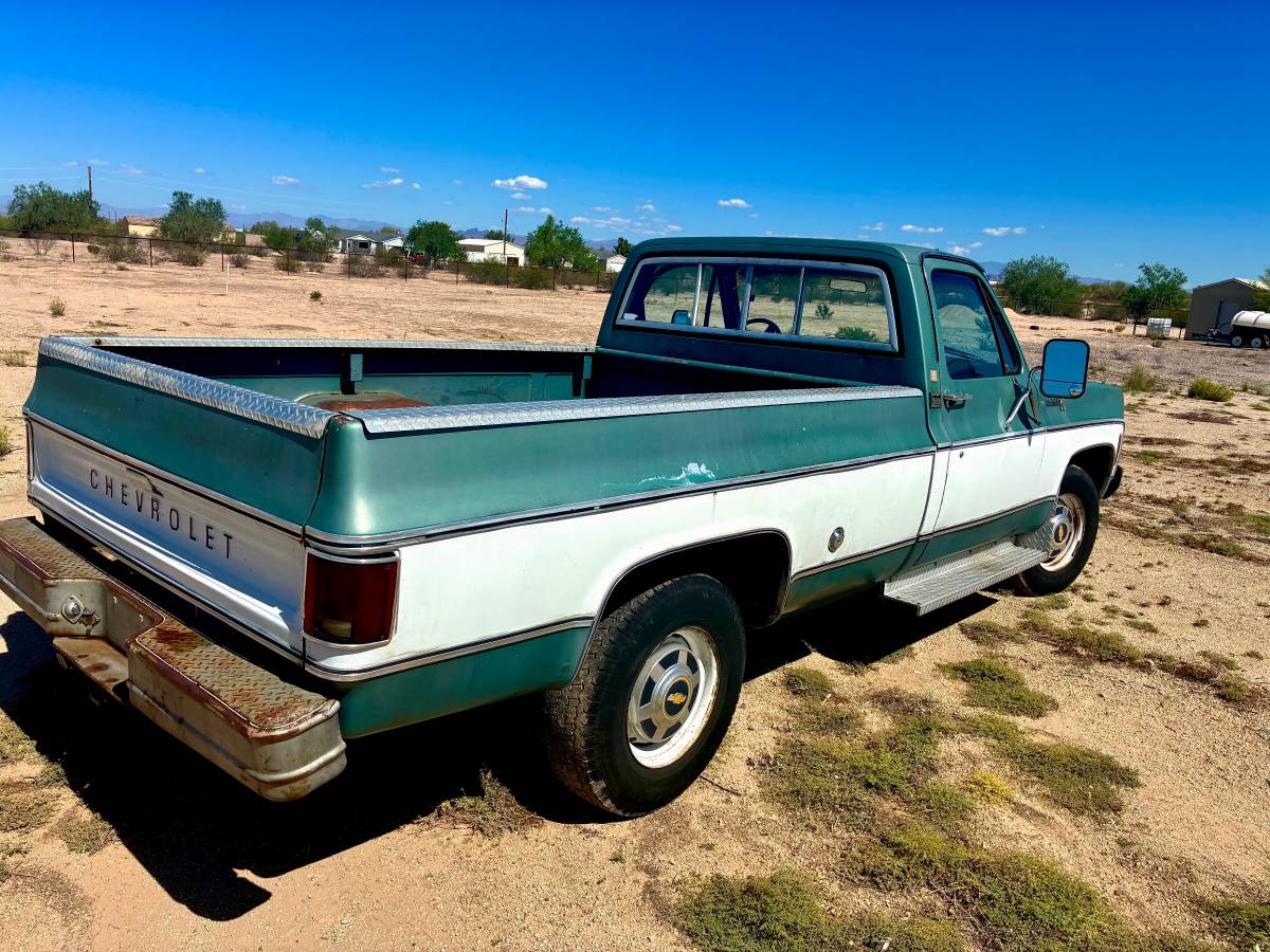 Chevy-c20-1978-5