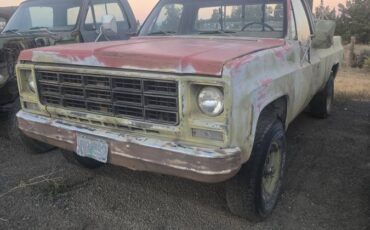 Chevy-c20-1979-1