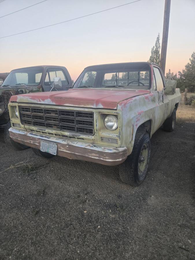 Chevy-c20-1979-1