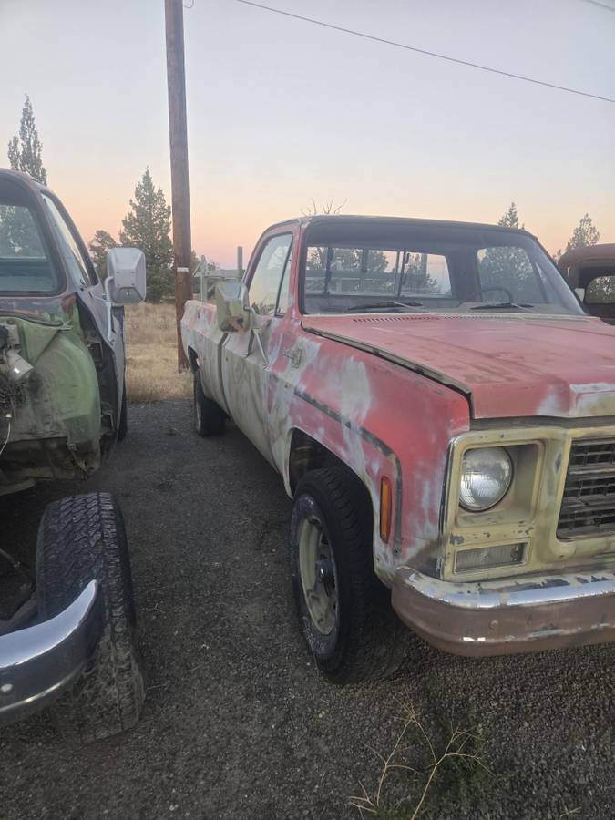 Chevy-c20-1979-2