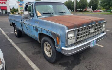 Chevy-c20-1980-blue-2