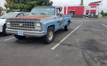 Chevy-c20-1980-blue
