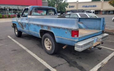Chevy-c20-1980-blue-5