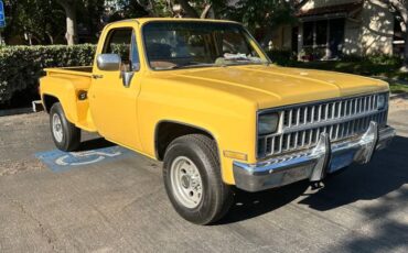 Chevy-c20-1981-10