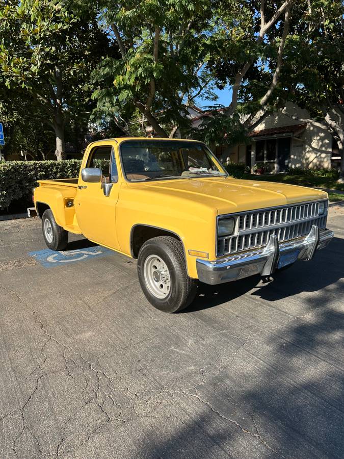 Chevy-c20-1981-10