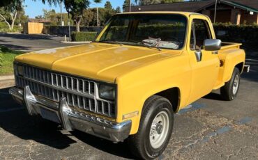 Chevy-c20-1981-11
