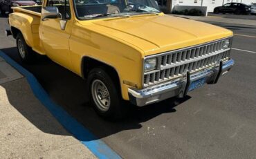 Chevy-c20-1981-2