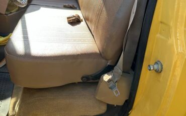Chevy-c20-1981-3
