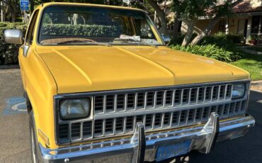 Chevy-c20-1981-4