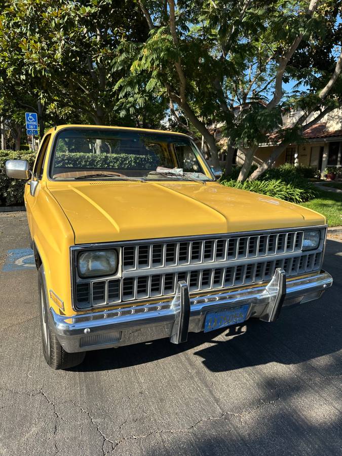 Chevy-c20-1981-4