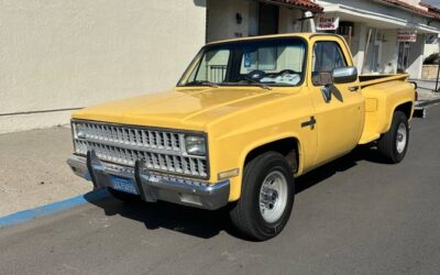 Chevy c20 1981