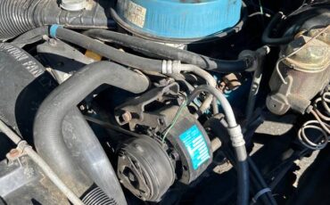 Chevy-c20-1981-5