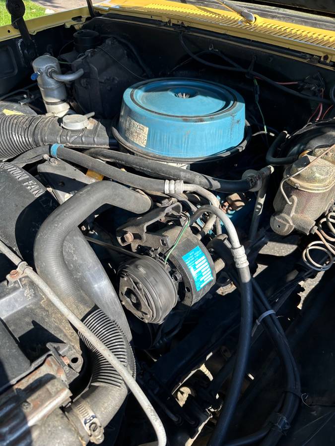 Chevy-c20-1981-5