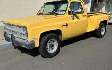 Chevy-c20-1981-6