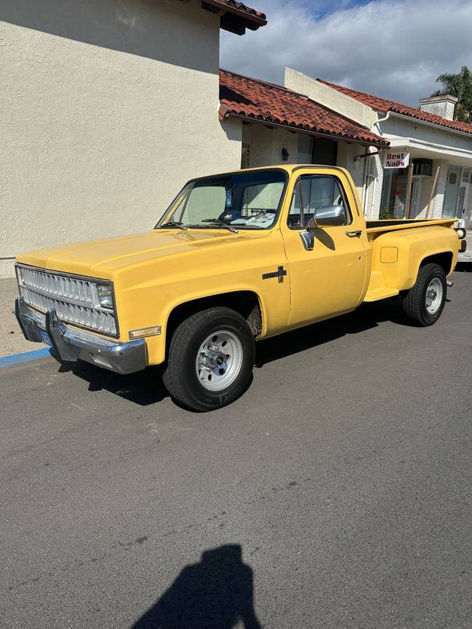 Chevy-c20-1981-6