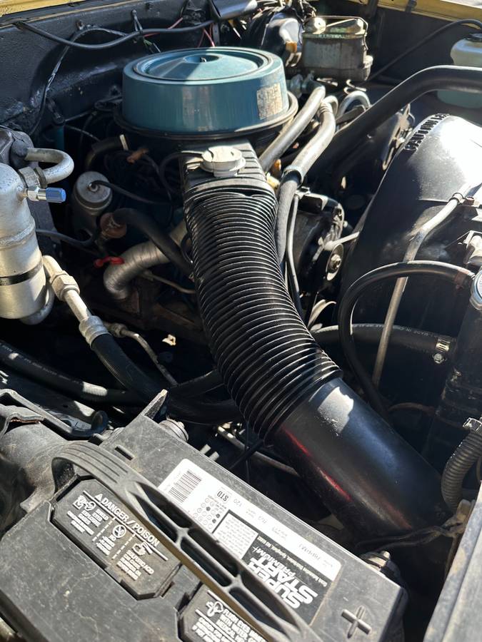Chevy-c20-1981-7