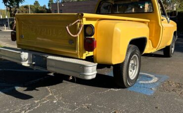 Chevy-c20-1981-9