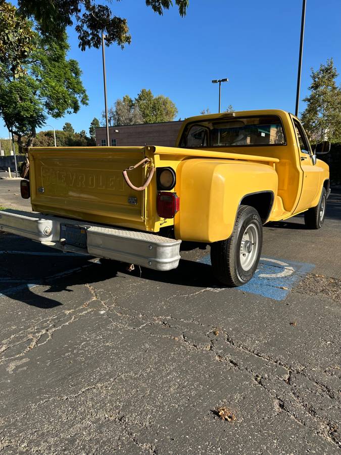 Chevy-c20-1981-9